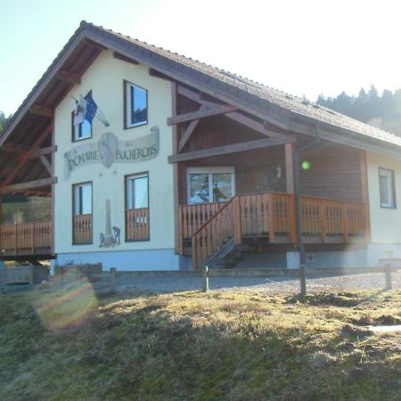 Chalet Du Bucheron Lejlighed Gérardmer Eksteriør billede